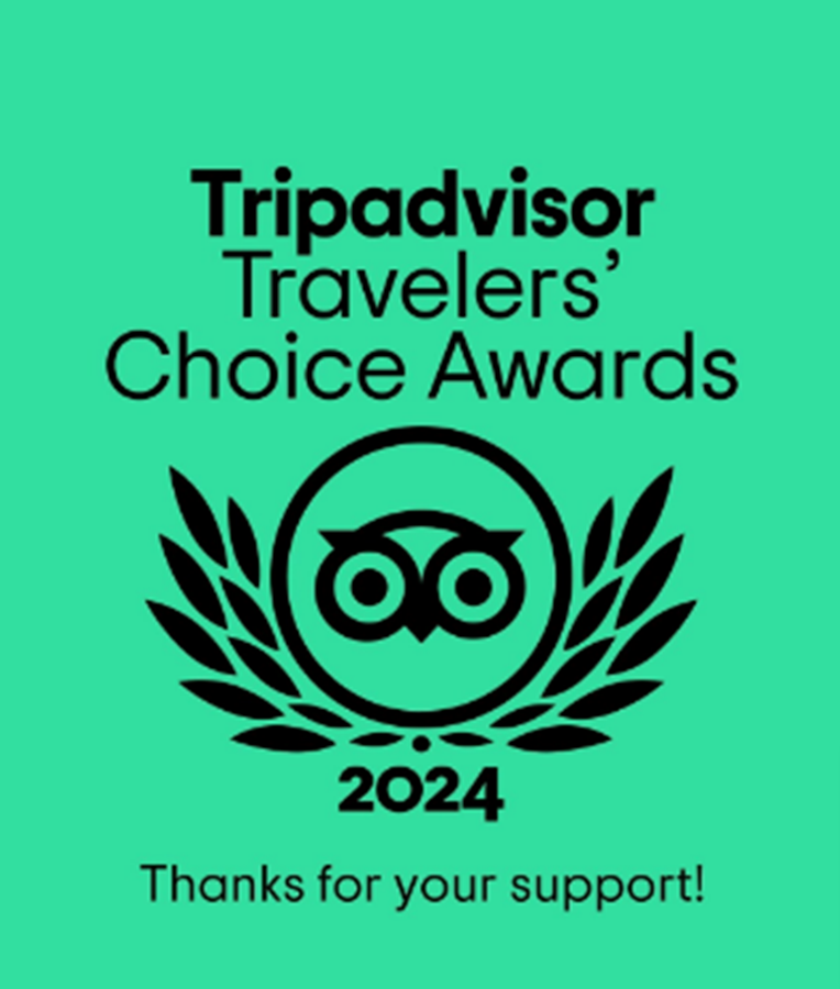 TripAdvisor 2024